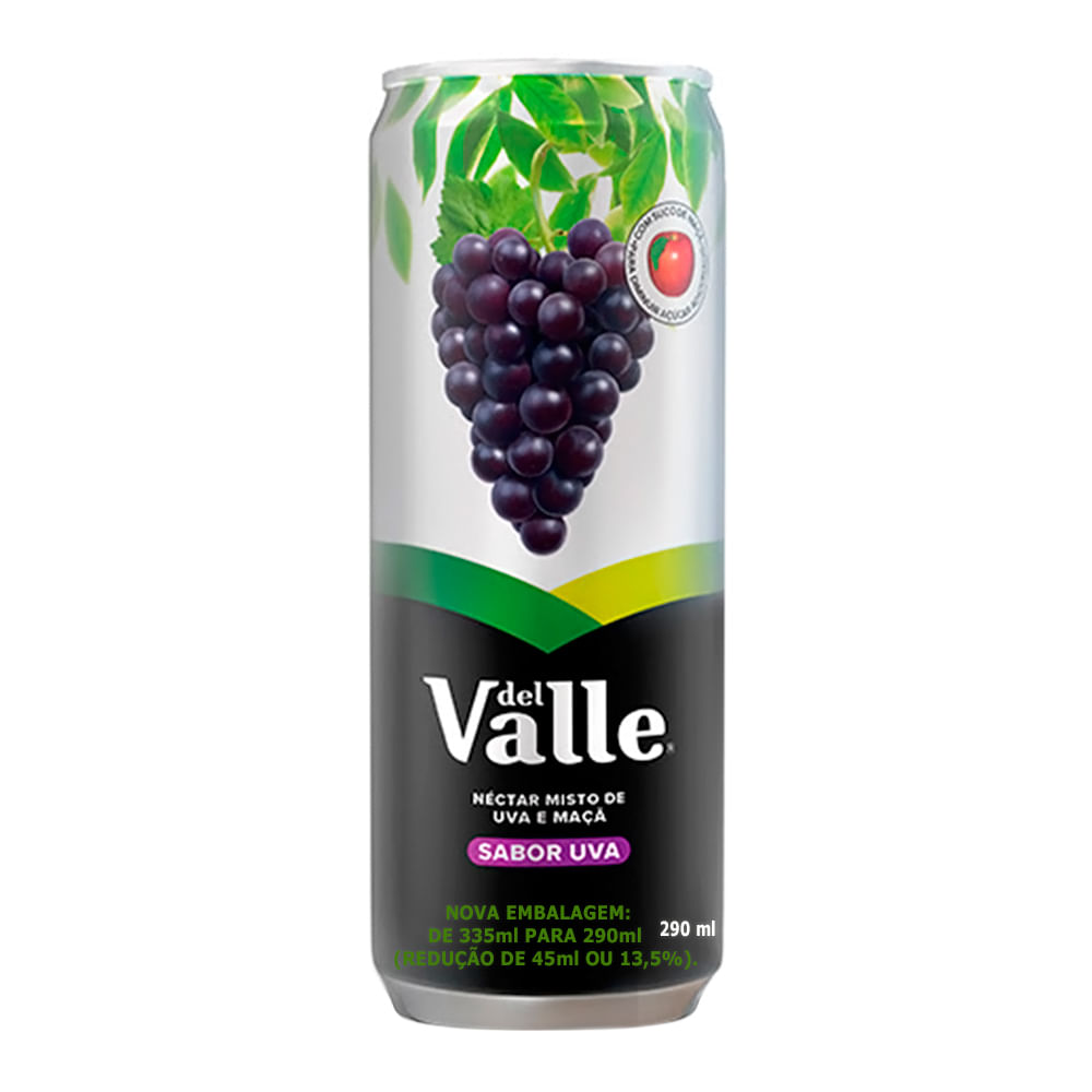 Suco Del Valle Néctar Uva 290ml